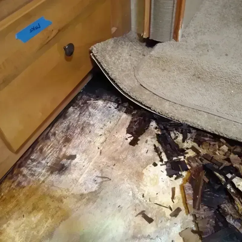 Best Wood Floor Water Damage Service in Plandome Heights, NY